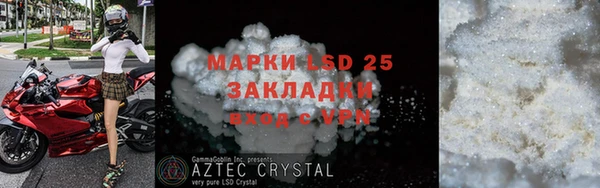 шишки Елизово