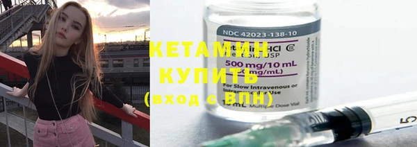шишки Елизово