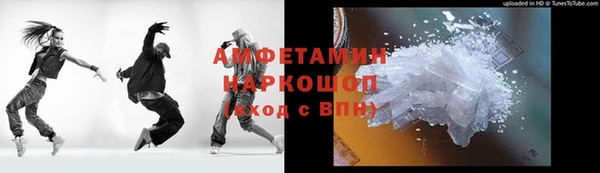 шишки Елизово