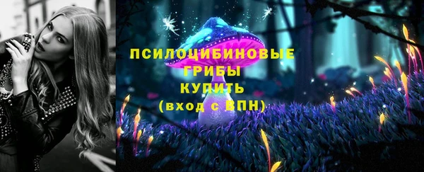 не бодяженный Заводоуковск