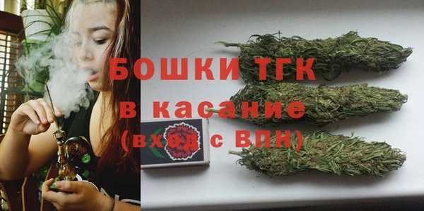 не бодяженный Заводоуковск